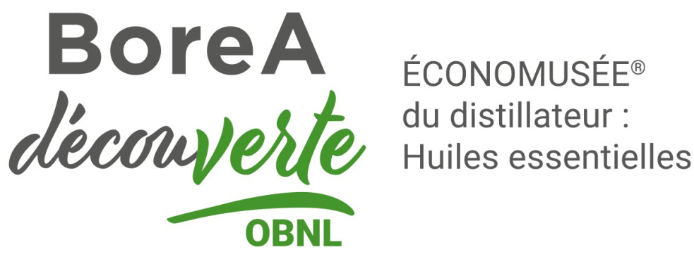 BoreA DécouVERTE