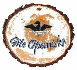 Gîte Opémiska (Le)